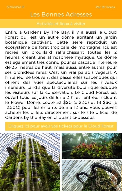 Ebook - Guide voyage à Singapour