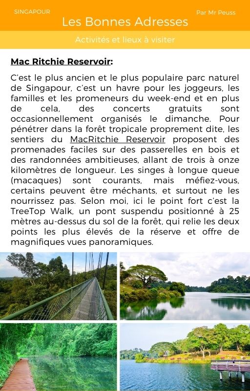 Ebook - Guide voyage à Singapour