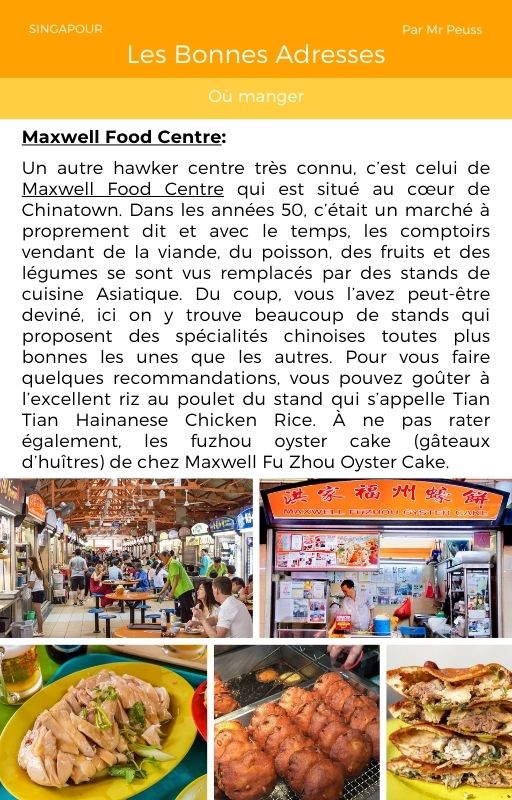 Ebook - Guide voyage à Singapour