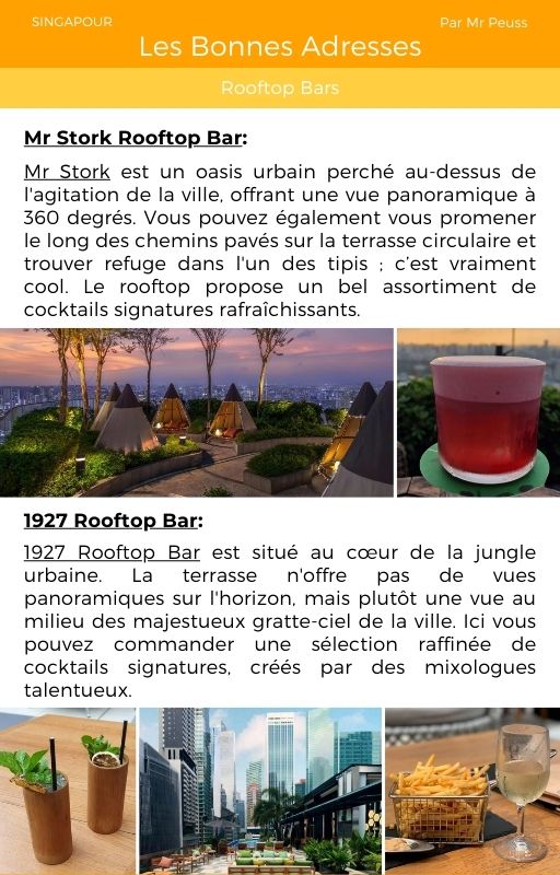 Ebook - Guide voyage à Singapour