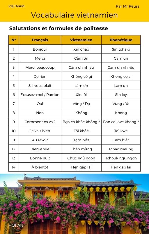 Ebook : Parlez Vietnamien - 300 Mots et Phrases Clés avec Traduction et Phonétique