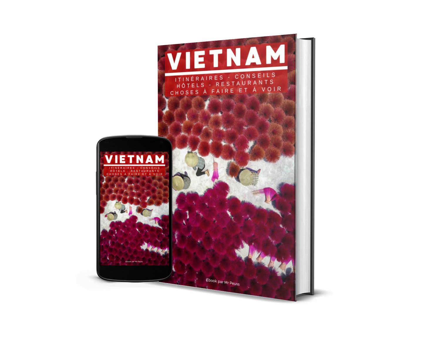 Ebook - Guide voyage au Vietnam