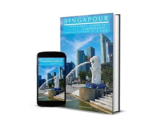 Ebook - Guide voyage à Singapour