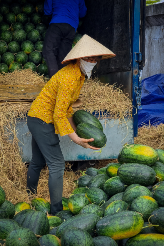 Main image La force des femmes vietnamiennes - Hanoï, Vietnam