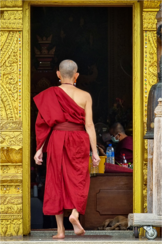 Main image Le moine du temple doré - Nan, Thaïlande